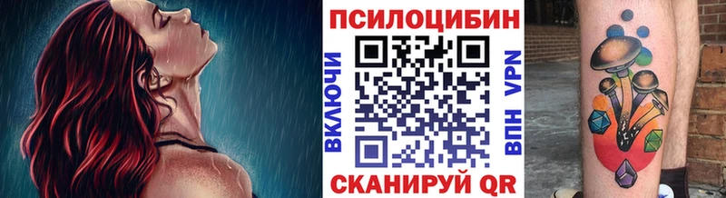 сколько стоит Грязовец Псилоцибиновые грибы Magic Shrooms